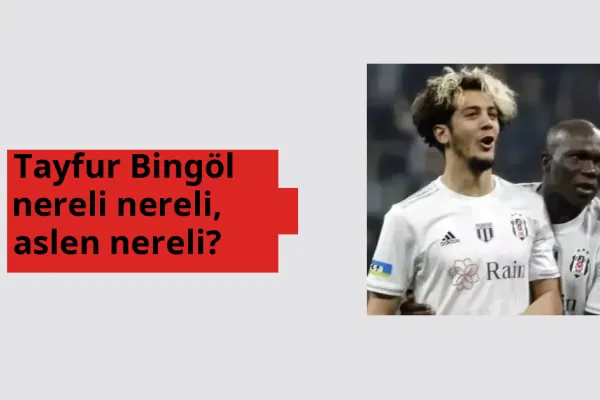 Tayfur Bingöl nerede doğdu? Tayfur Bingöl aslen nereli