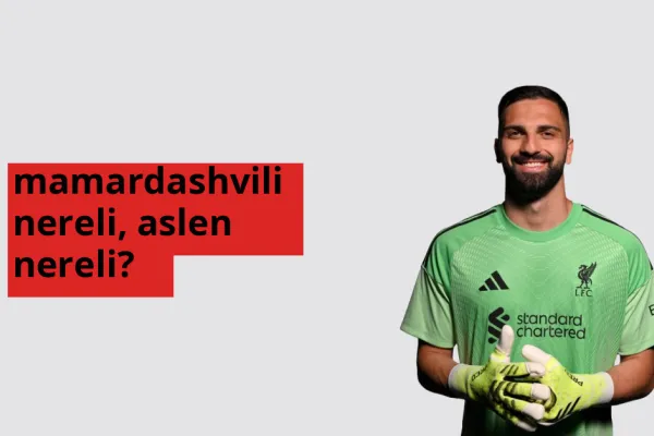 Mamardashvili hangi ülkeden? Mamardashvili memleketi neresi