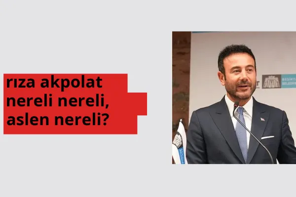 Rıza Akpolat nereli? Rıza Akpolat hangi şehirden?