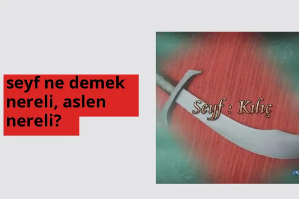 Seyf nereli? Seyf hangi şehirden?