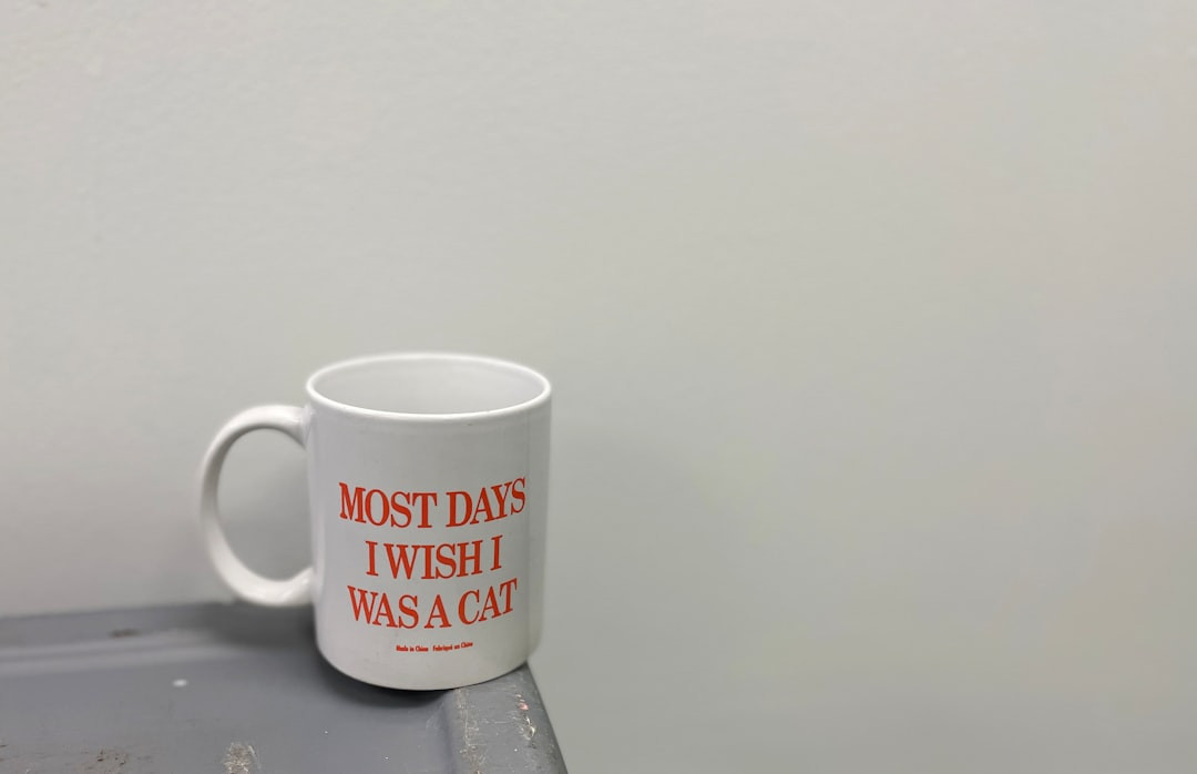 69 Groundhog Day Quotes To Inspire Your Daily Transformation