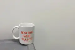 125 Cheap WiFi Quotes To Connect You to Inspiration