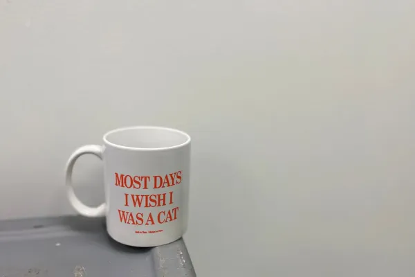 125 Cheap WiFi Quotes To Connect You to Inspiration