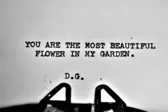 142 Free Love Quotes To Ignite Your Heart's Passion